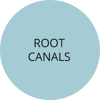 Circle with the words "Root Canals"